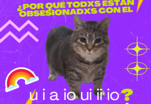 ¿Quién es la gatita oia y por qué todos están obsesionados con ella