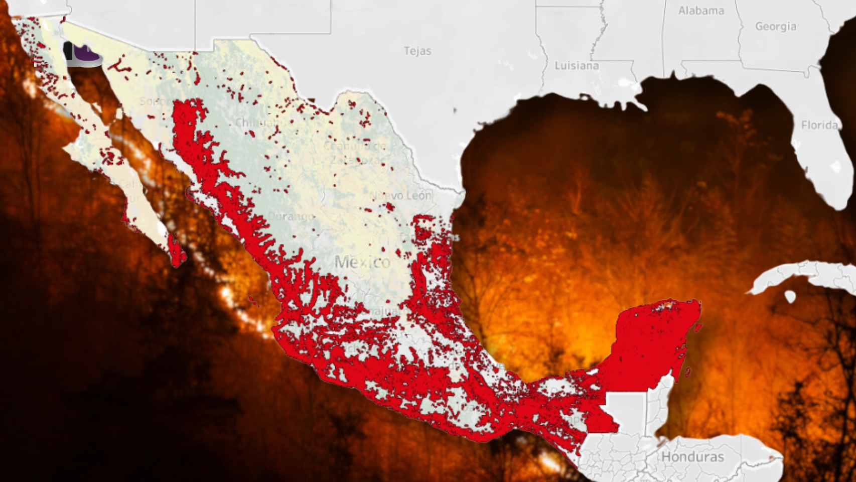 Incendios forestales en México: siguen en aumento, van 691 reportados en lo que va del año