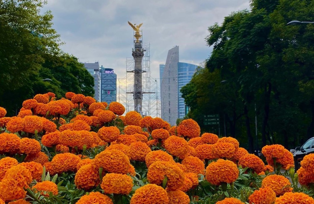 ¿Día de Muertos en junio? CDMX adelanta desfile y cempasúchil por el Mundial 2026