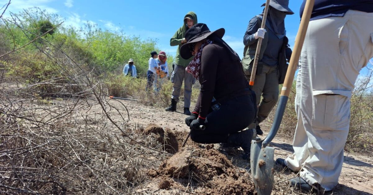 Colectivos de búsqueda hallan nueve cuerpos de presuntos migrantes en Rancho La Uva