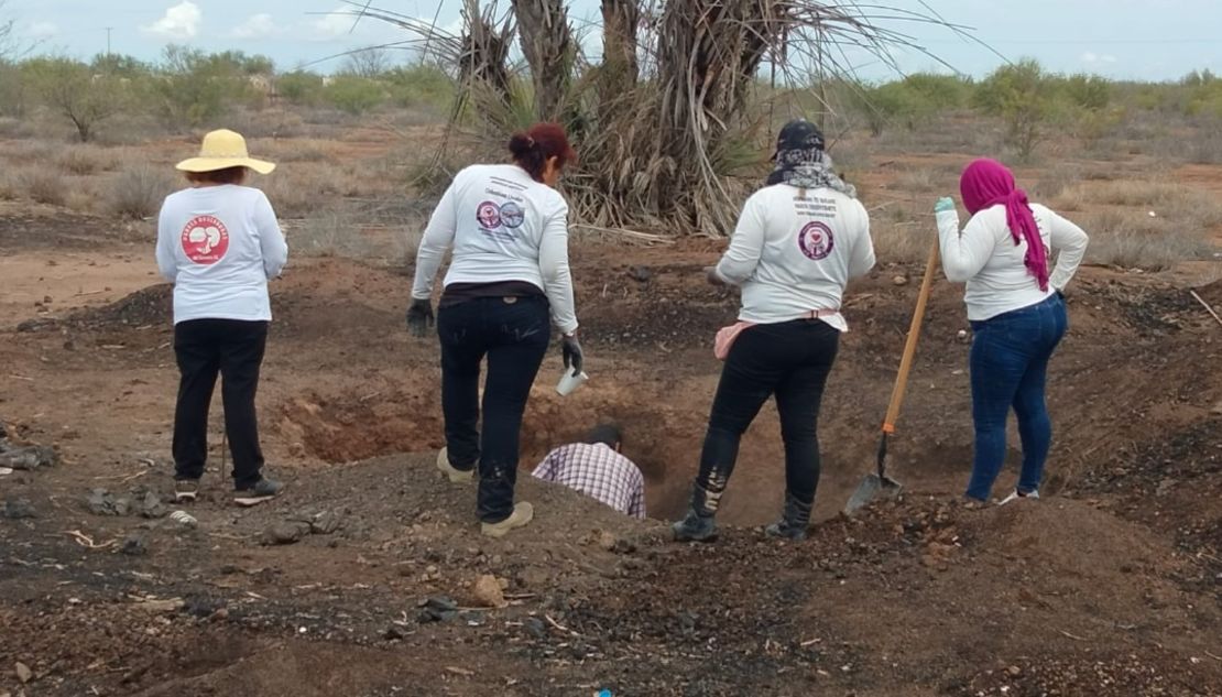 ONU alerta por los riesgos que enfrentan las madres buscadoras en México: ¿qué respondió Sheinbaum?